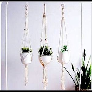 Hanging plant
